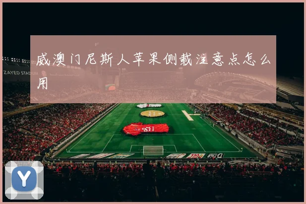 威澳门尼斯人苹果侧载注意点怎么用