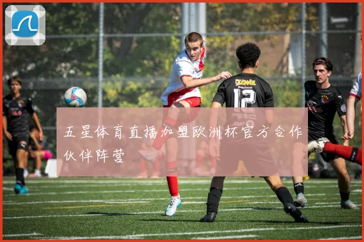 五星体育直播加盟欧洲杯官方合作伙伴阵营