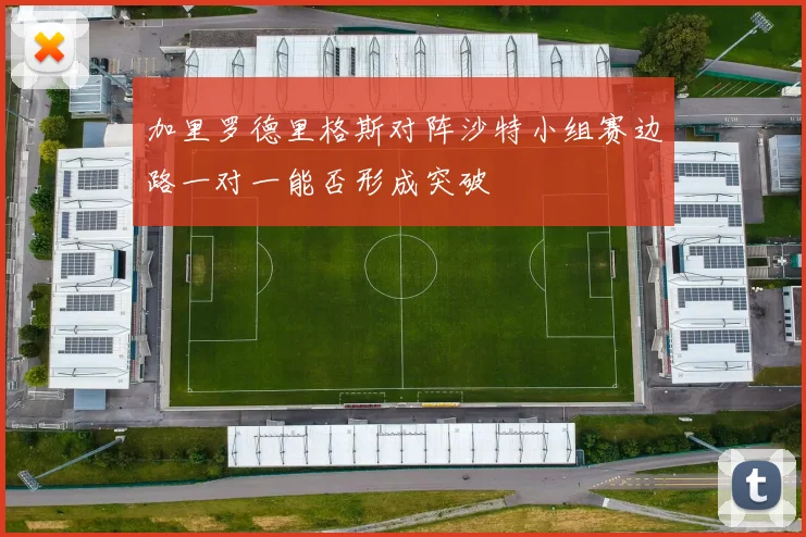 加里罗德里格斯对阵沙特小组赛边路一对一能否形成突破